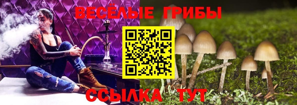 купить закладку  Галлюциногенные грибы Psilocybine cubensis  Вход с VPN  Кандалакша  Галлюциногенные грибы ЛСД 